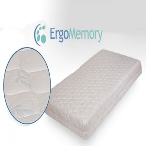 ErgoMemory