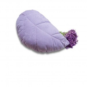 JASTUK LAVANDA