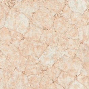 Evolution Tenere 02 (rolna