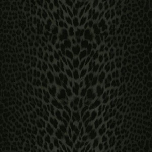 Roberto Cavalli - 12020