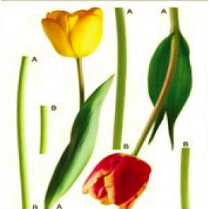 STIKER – 1 - 401