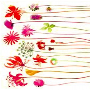 STIKER – 1 - 444
