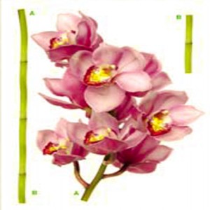 STIKER – 1 - 468