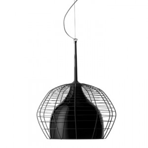 Luster Cage mic