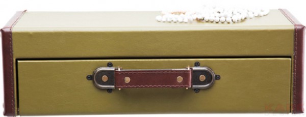 Wall Shelf Suitcase Green 1Drw
