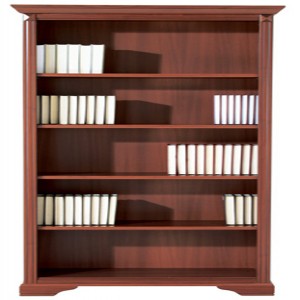 Regal Stylius - NREG 100 O
