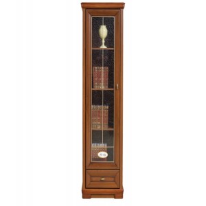 Vitrina REG1w1s_19_6