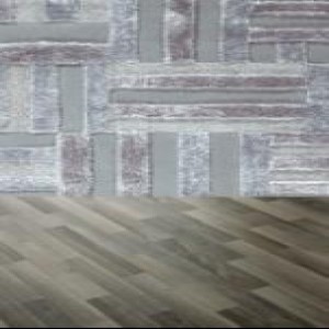 Stepevi Stripe