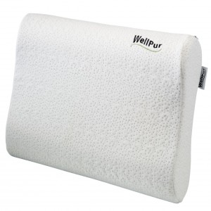 Jastuk WellPur LAKE TAHOE 35x60x11/13