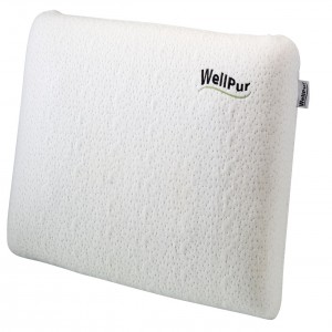 Jastuk WellPur LAKE MICHIGAN 40x60x11