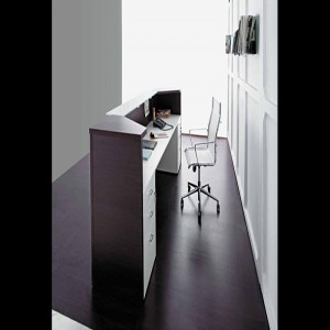 Recepcija Miro