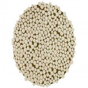 Champiñones
